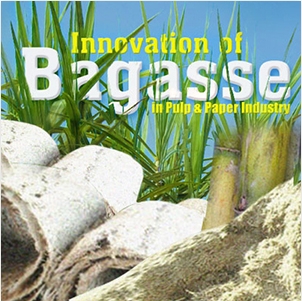 Innovation of Bagasse