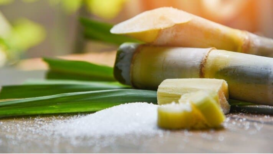What Is Sugarcane Bagasse